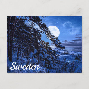 Carte Postale Lune sur le sapin neigeux et la côte de la mer la