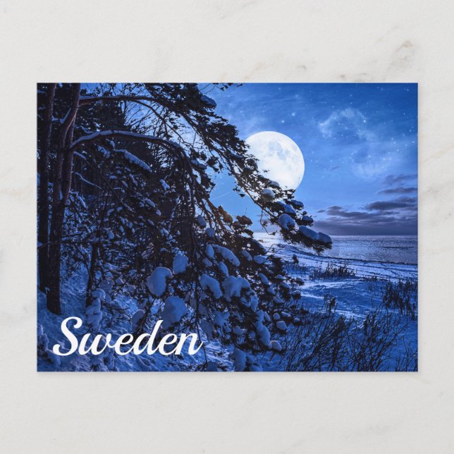 Carte Postale Lune sur le sapin neigeux et la côte de la mer la  (Devant)