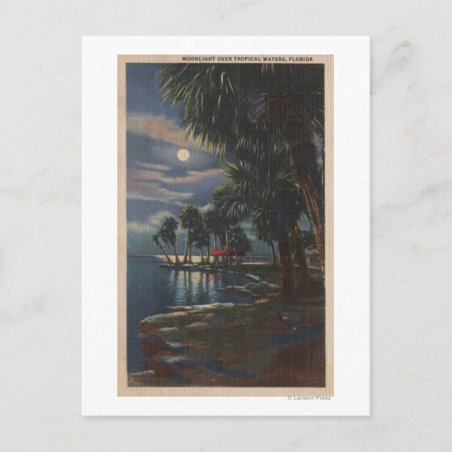 Carte Postale Lune sur une plage de FlorideFloride (Devant)