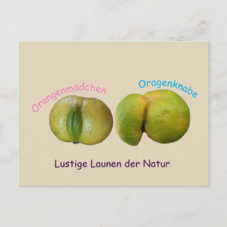 Carte Postale Lustige Orangen