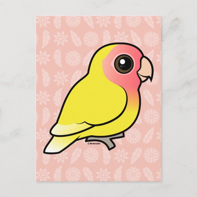 Carte Postale Lutino Peach face Lovebird (Devant)