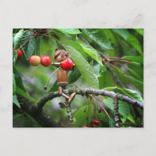 Carte Postale Lutins gland mangeant des cerises sur l'arbre été 