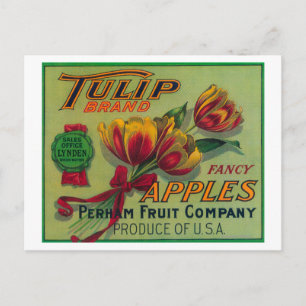 Carte Postale Lynden, Washington Tulip Étiquette Apple Crate