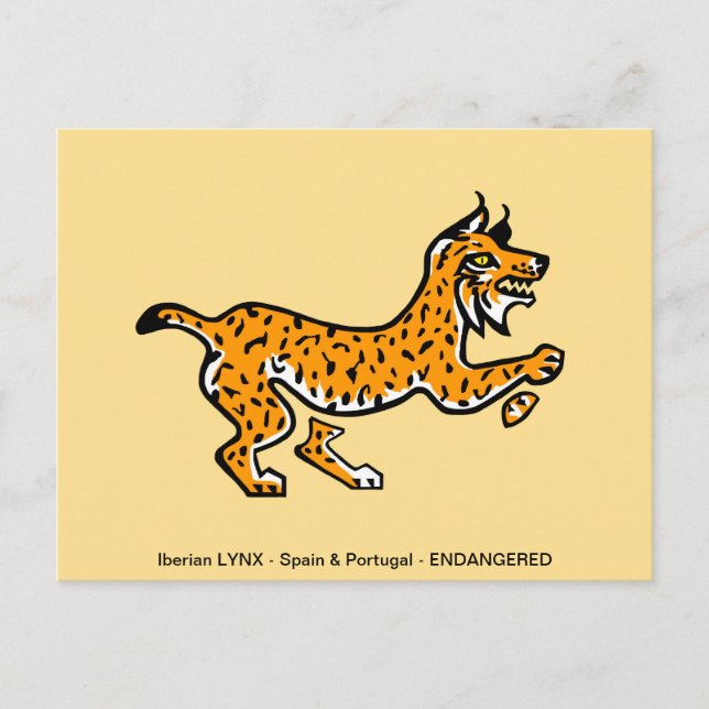 Carte Postale Lynx ibérique Cool - Animal en voie de disparition (Devant)