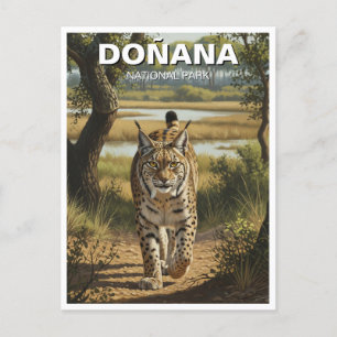 Carte Postale Lynx ibérique dans le parc national de Donana Voya