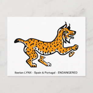 Carte Postale Lynx ibérique dessiné à la main - Conservation - É