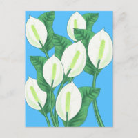 Lys blancs sur arrière - plan bleu pâle