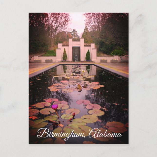 Carte Postale Lys d'eau Birmingham Alabama (Devant)