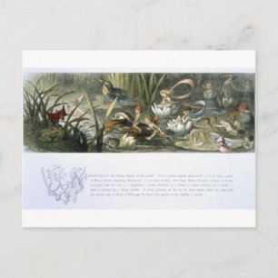 Carte Postale Lys d'eau et fées d'eau, illustration de