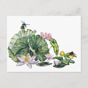 Carte Postale Lys d'eau japonais et fleurs de Lotus