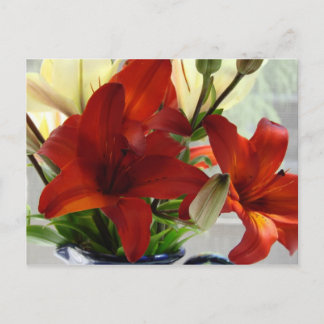 Carte Postale Lys rouges