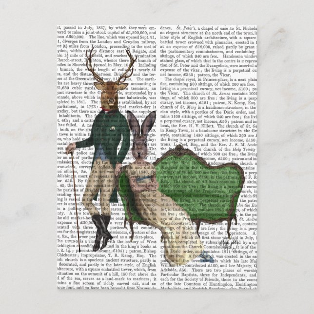 Carte Postale M. Deer et Mme Rabbit (Devant)