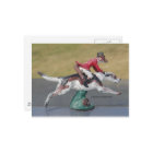 M. Fox Cross-Country