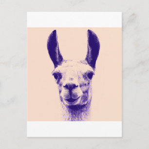 Carte Postale M. Llama