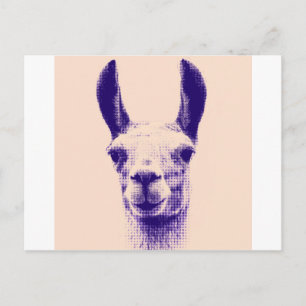 Carte Postale M. Llama