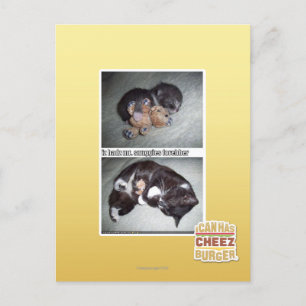 Carte Postale M. snuggies forebber de hadz d'iz