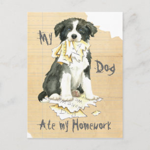 Carte Postale Ma frontière Collie Ate mes devoirs
