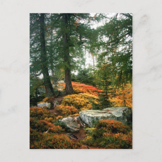 CARTE POSTALE MA VIE N'EST PAS CETTE HEURE VERTIQUE