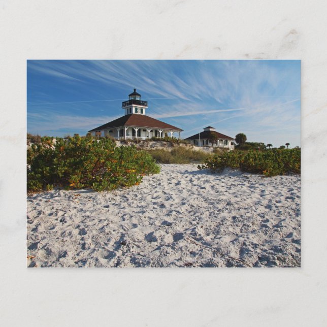 Carte Postale Ma vie temporaire (Devant)