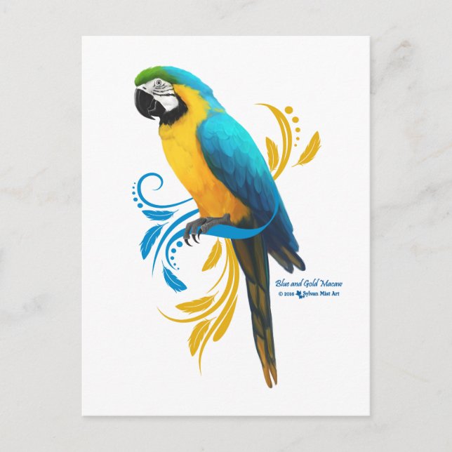 Carte postale Macaw bleu et or (Devant)