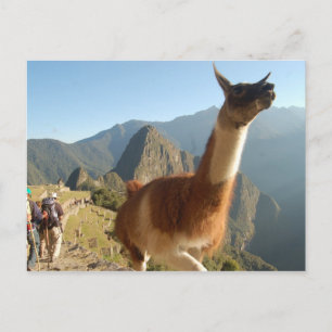 Carte Postale Macchu Picchu