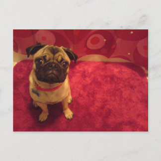 Carte postale Machi de carlin