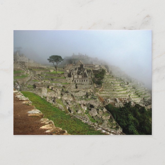 Carte Postale Machu Picchu, Pérou (Devant)