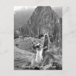 Carte Postale Machu Picchu Pérou