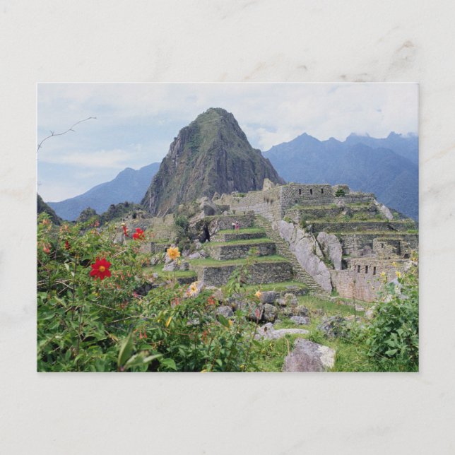 Carte Postale Machu Picchu, Pérou (Devant)