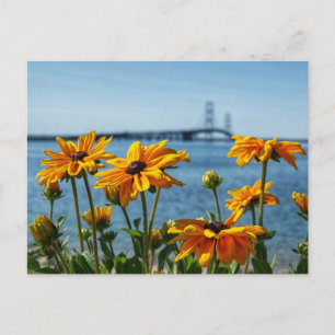 Carte Postale Mackinac Bridge aux yeux noirs