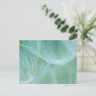 Carte Postale macro Dandelion