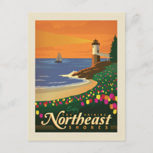 Carte Postale Macy's Flower Show   Nord-Est