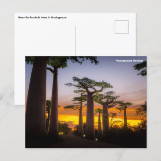 Carte postale Madagascar