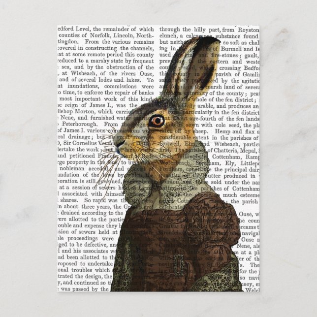 Carte Postale Madame Hare Portrait (Devant)