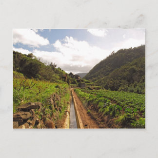 Carte postale Madeira