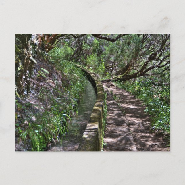 Carte Postale Madeira Road (Devant)