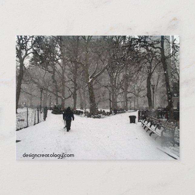 Carte Postale Madison Carré Garden (Devant)