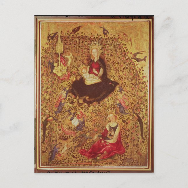 Carte Postale Madonna avec un Rose Bush (Devant)