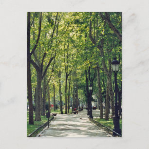 Carte Postale Madrid Park