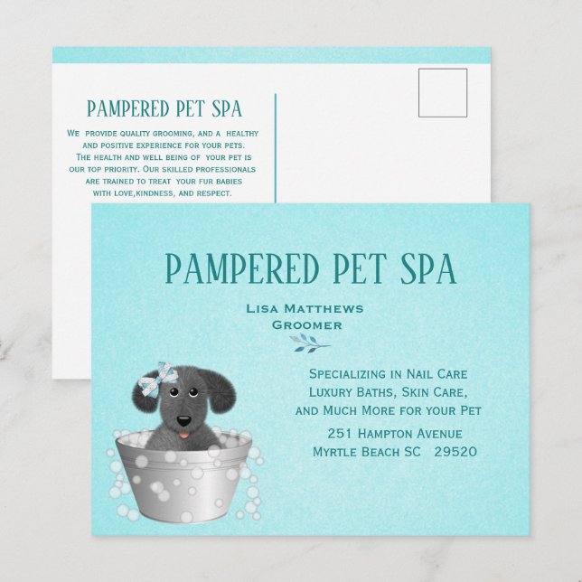 Carte Postale Magasin d'animaux familiers (Devant / Derrière)