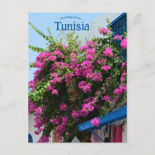 Carte Postale Magasin de vêtements et fleurs à Tunis