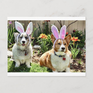 Carte Postale Maggie & Chuck