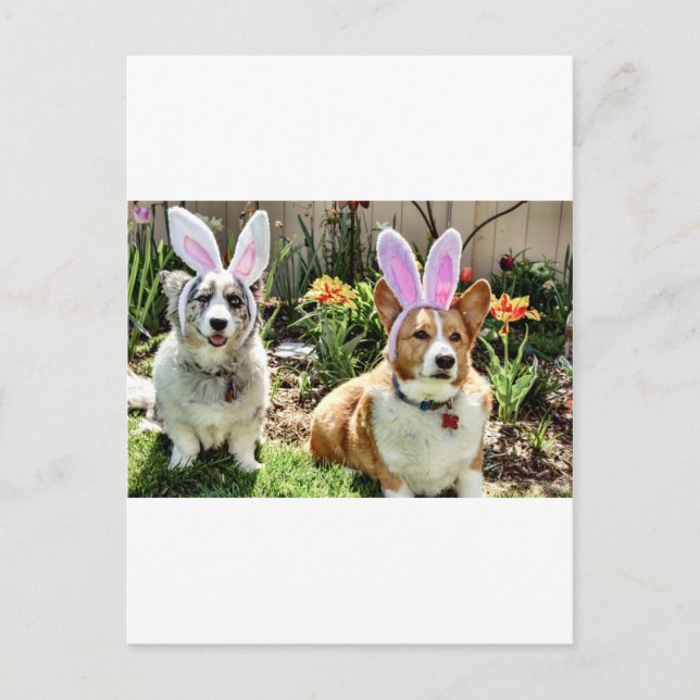 Carte Postale Maggie & Chuck (Devant)