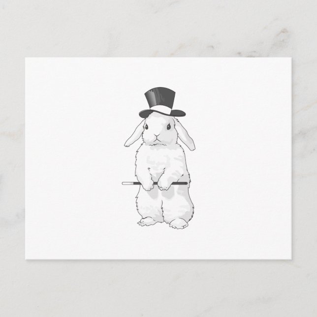 CARTE POSTALE MAGICIEN DE LAPIN (Devant)