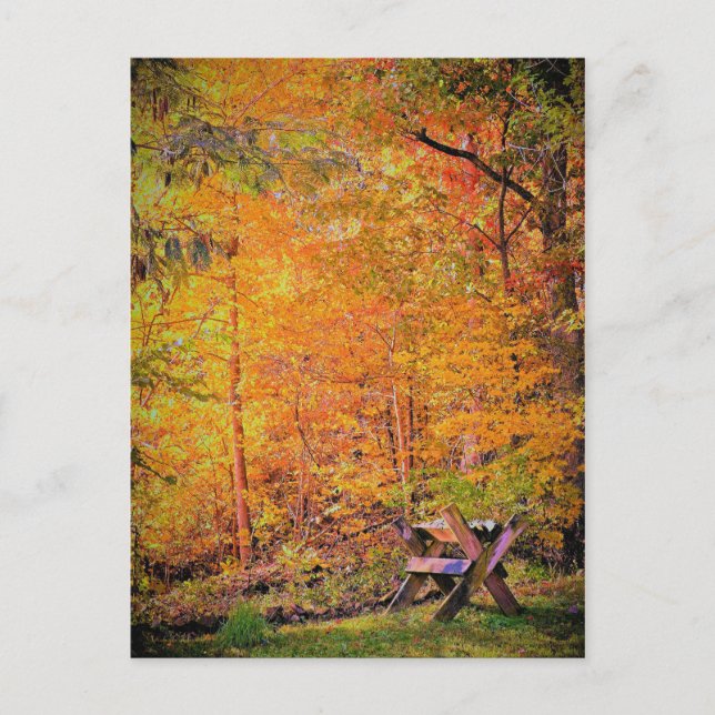 Carte Postale Magie d'automne (Devant)