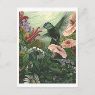 Carte Postale Magnificent Garden