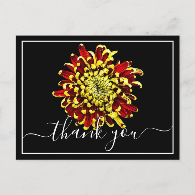 Carte Postale Magnifique Chrysanthème Rouge Et Jaune Merci (Devant)