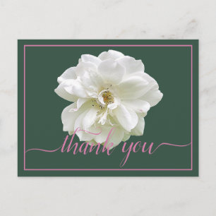 Carte Postale Magnifique fond de couleur rose blanche chic merci