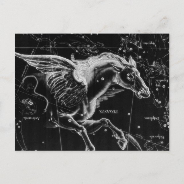 Carte Postale magnifique mystique ailes volantes cheval (Devant)