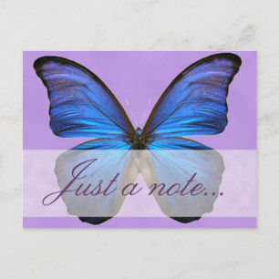 Carte Postale Magnifique papillon bleu Morpho